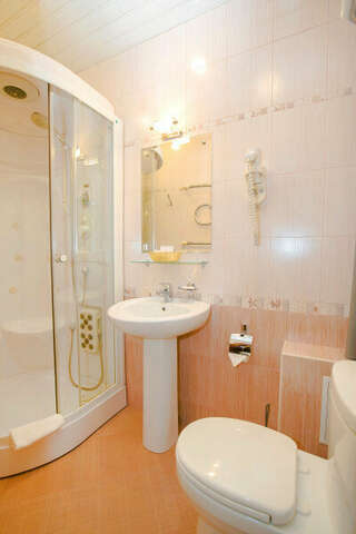 Гостиница Николь Новосибирск Люкс с 1 спальней-2